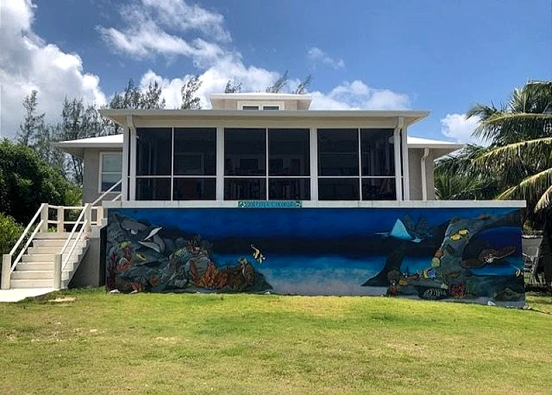 Cotton & Coconuts home 3 bedrooms 2 1/2 bath with ocean views