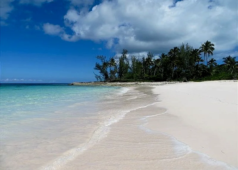 Photo 31