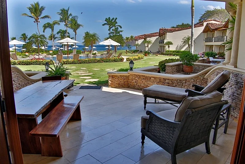 Palms 15