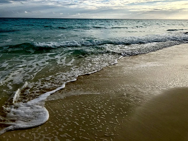 Photo 48