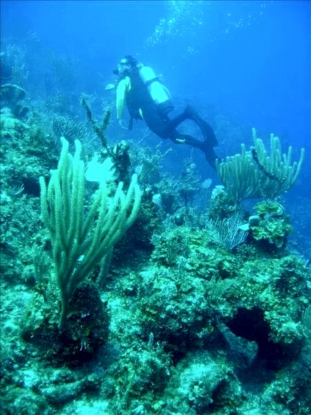 Photo 39
