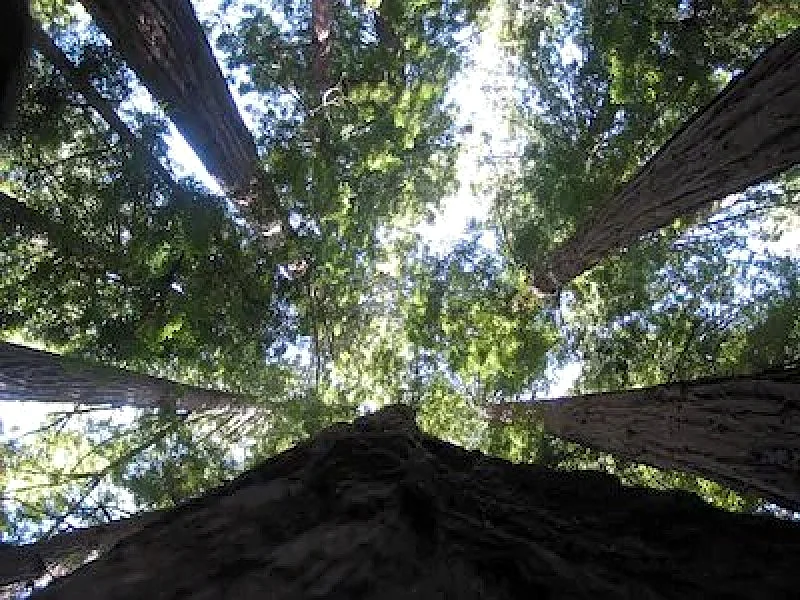 Photo 49