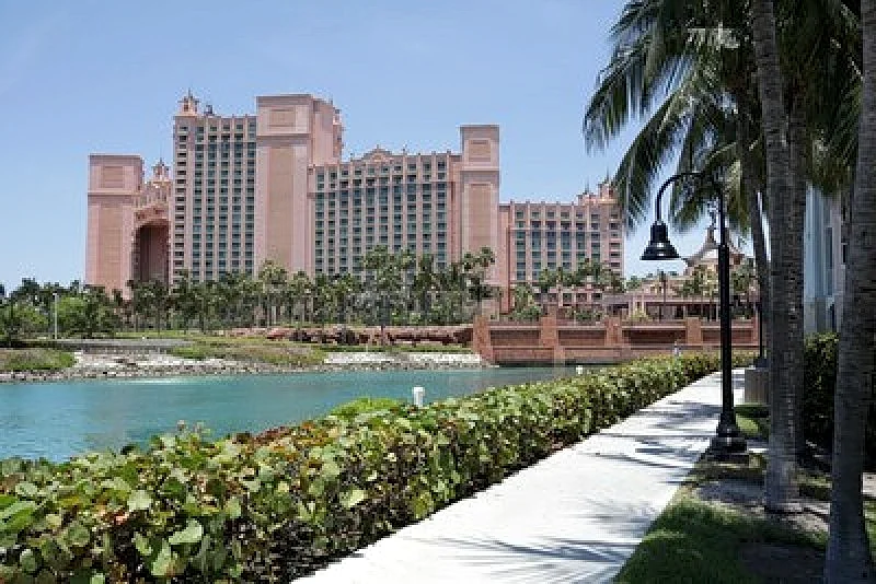 Photo 42