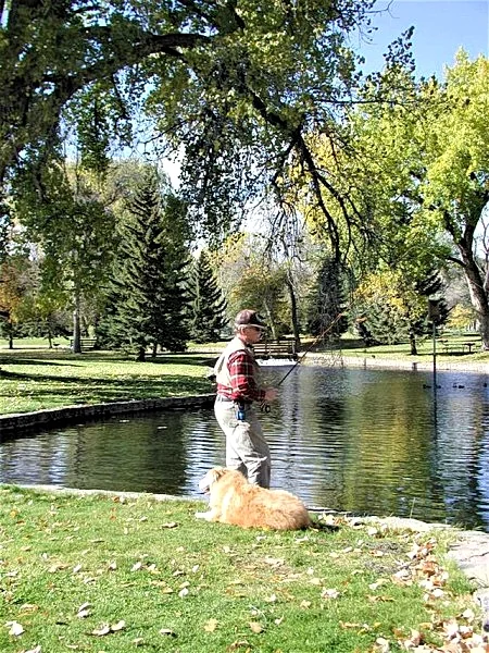 Photo 20