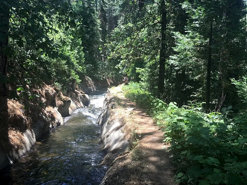 Photo 46