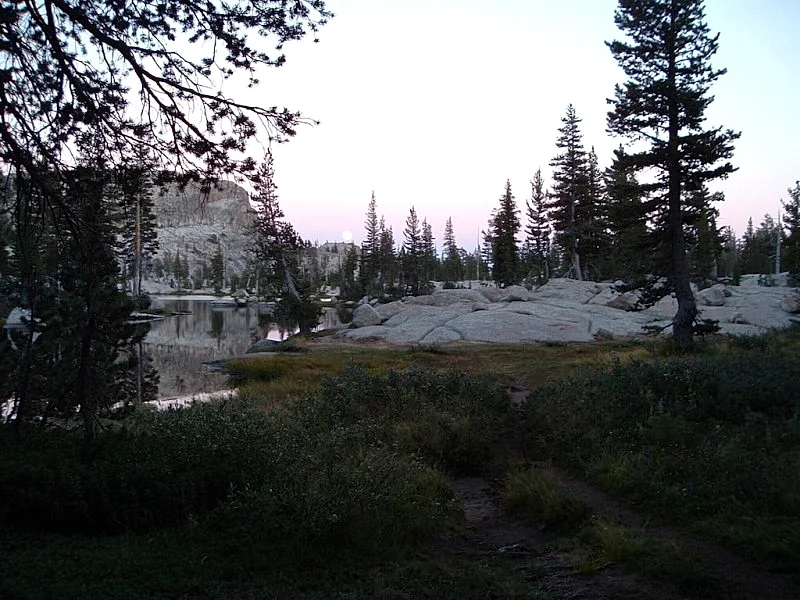 Photo 41