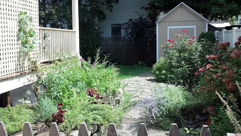 Photo 6