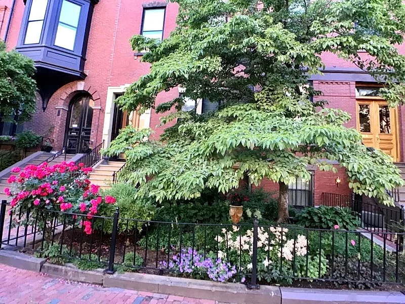 Photo 22