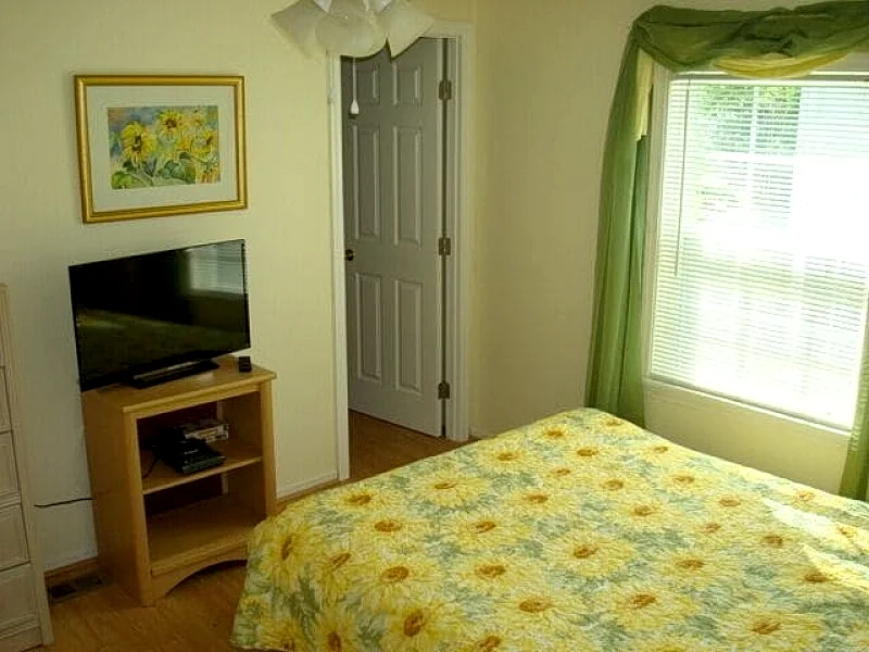 Photo 7