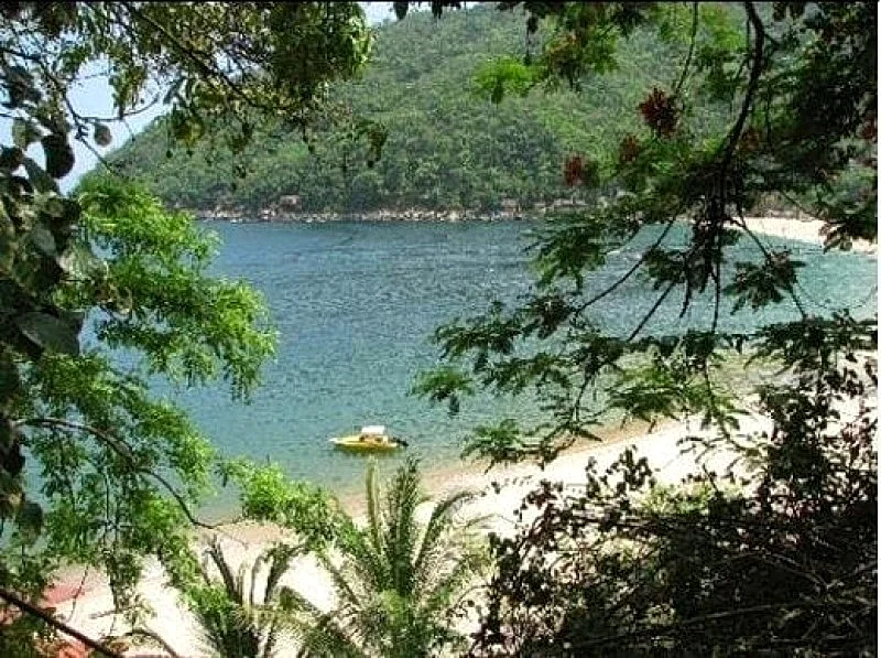 Photo 23