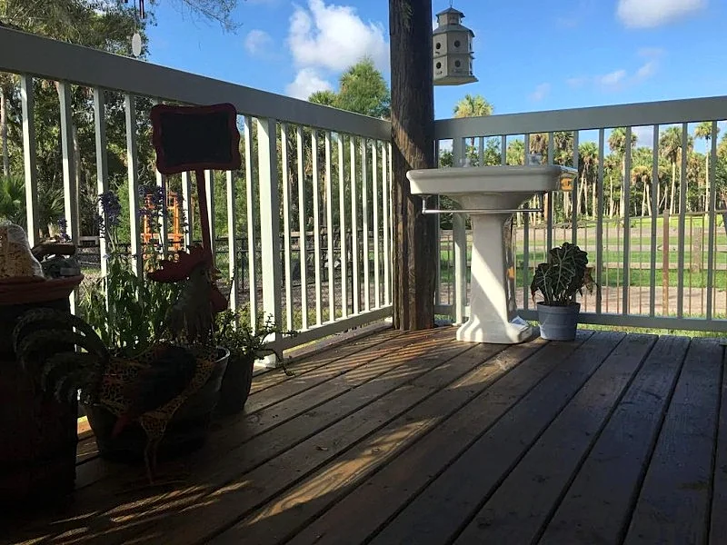 Photo 16
