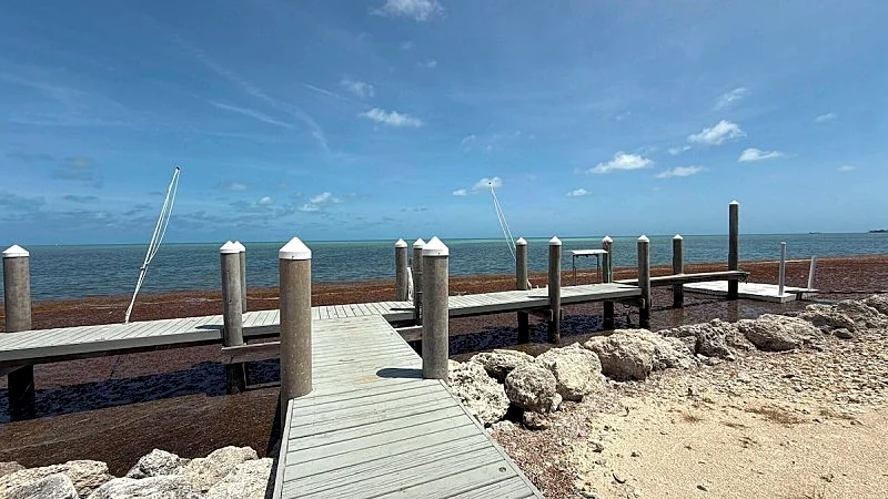 Photo 30