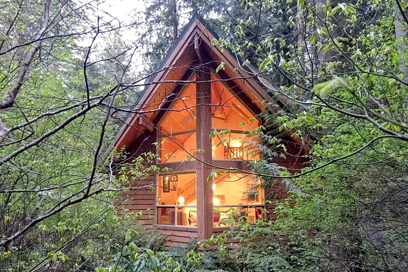 Snowline Cabin #4 - Hot Tub - BBQ - Pets Ok