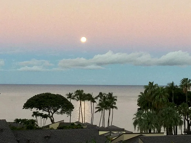 Wow - Incredible Ocean Views - Beautifully Remodeled