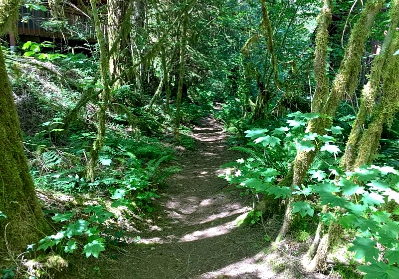 Photo 4