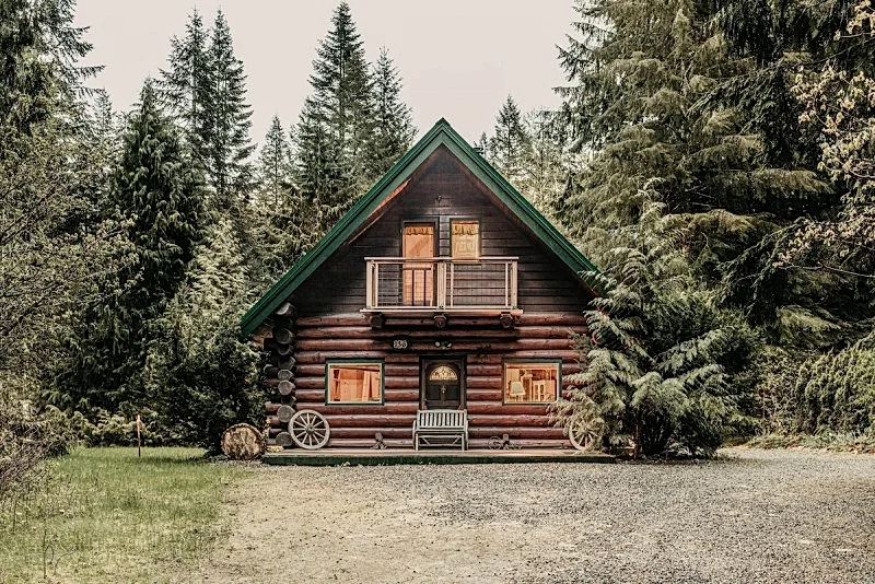 Snowline Cabin #11- Log Cabin - Wi-Fi - EV Charger