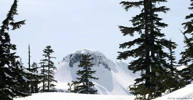 Photo 45
