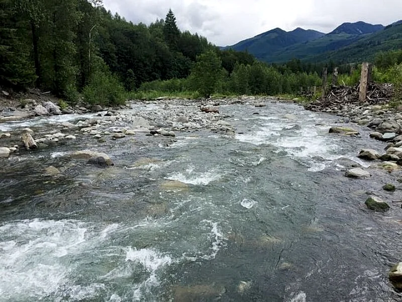 Photo 45
