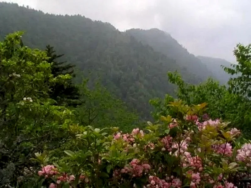 An Unforgettable View (2 BR)