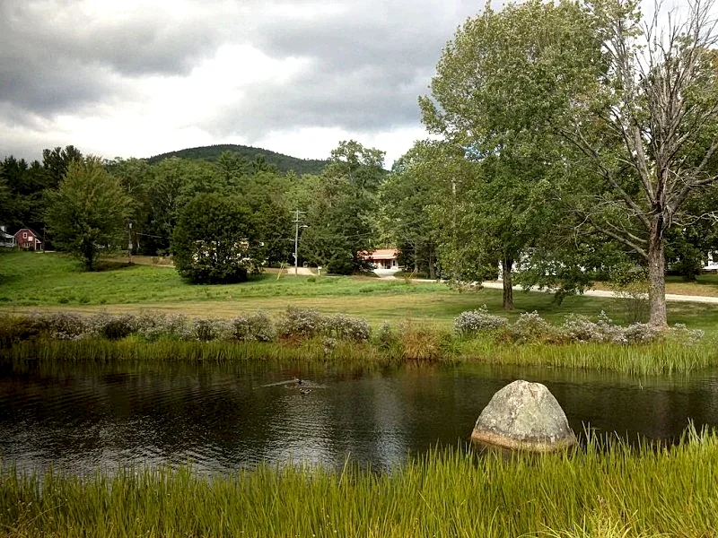 Photo 8
