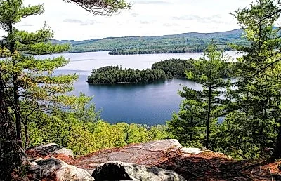 Vinnie Corneau